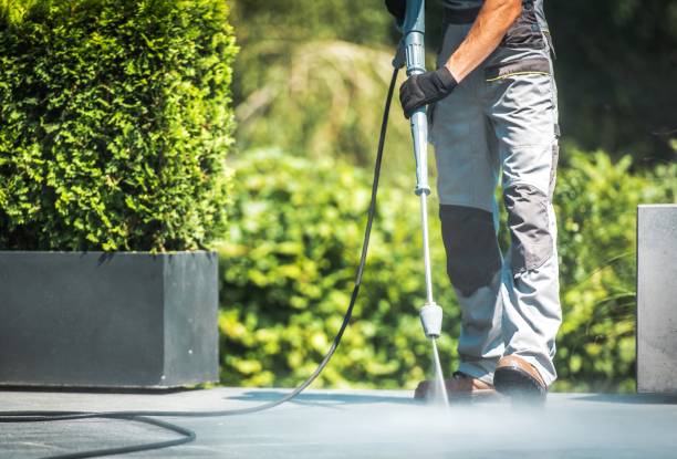 Best Solar Panel Cleaning  in Forest Oaks, NC